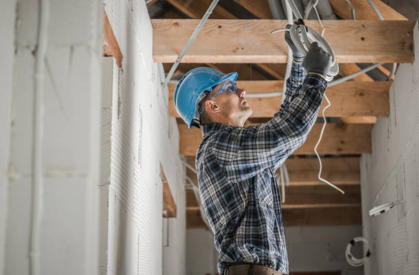 Best Local Electrician Companies  in Pegram, TN